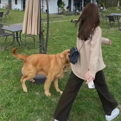 女浩克
